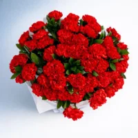 Bukiet czerwonych goździków