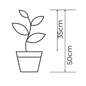 Baner promocyjny – Roślina doniczkowa 50 cm, wysokość z doniczką 35 cm
