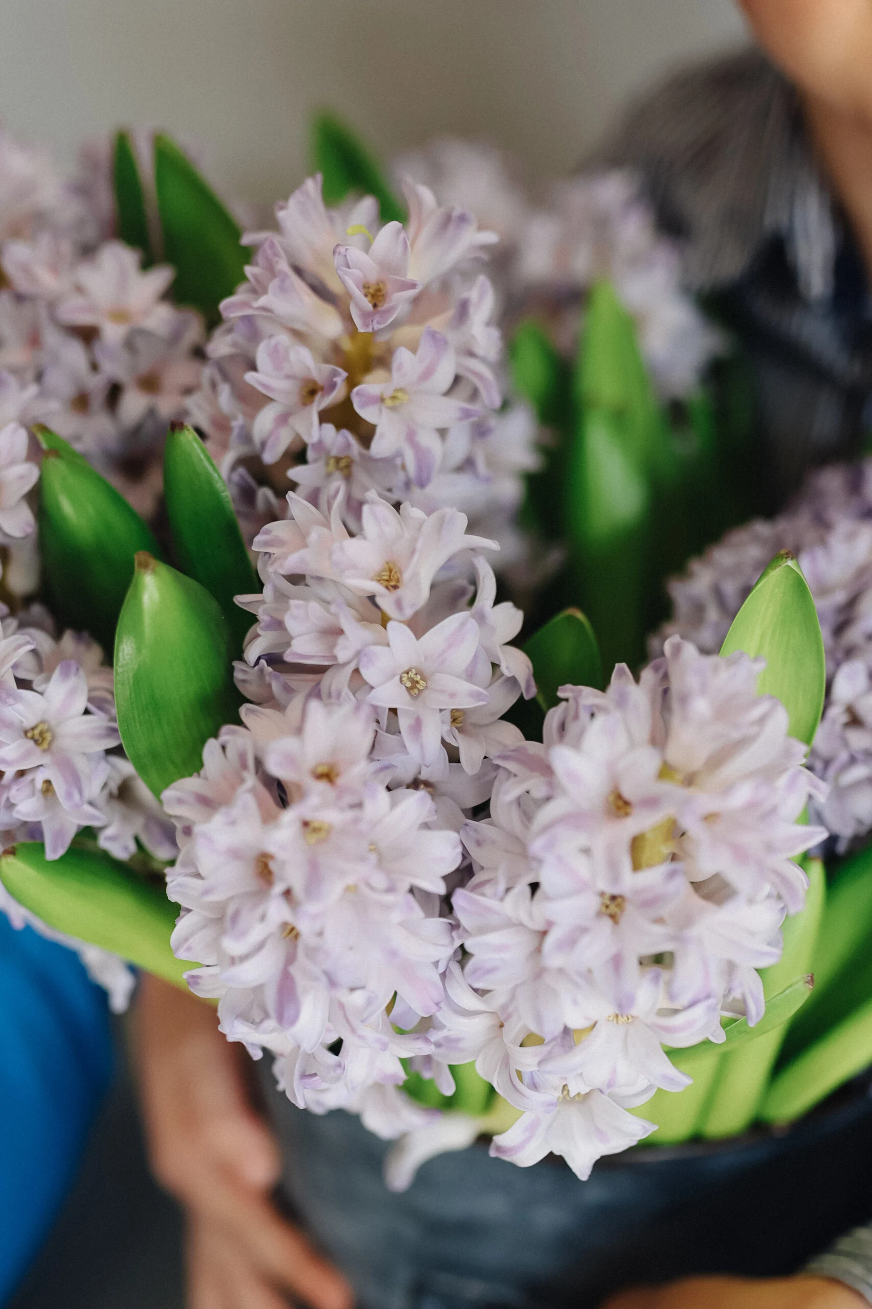 Wiosenny bukiet z dostawą niska cena Pruszków