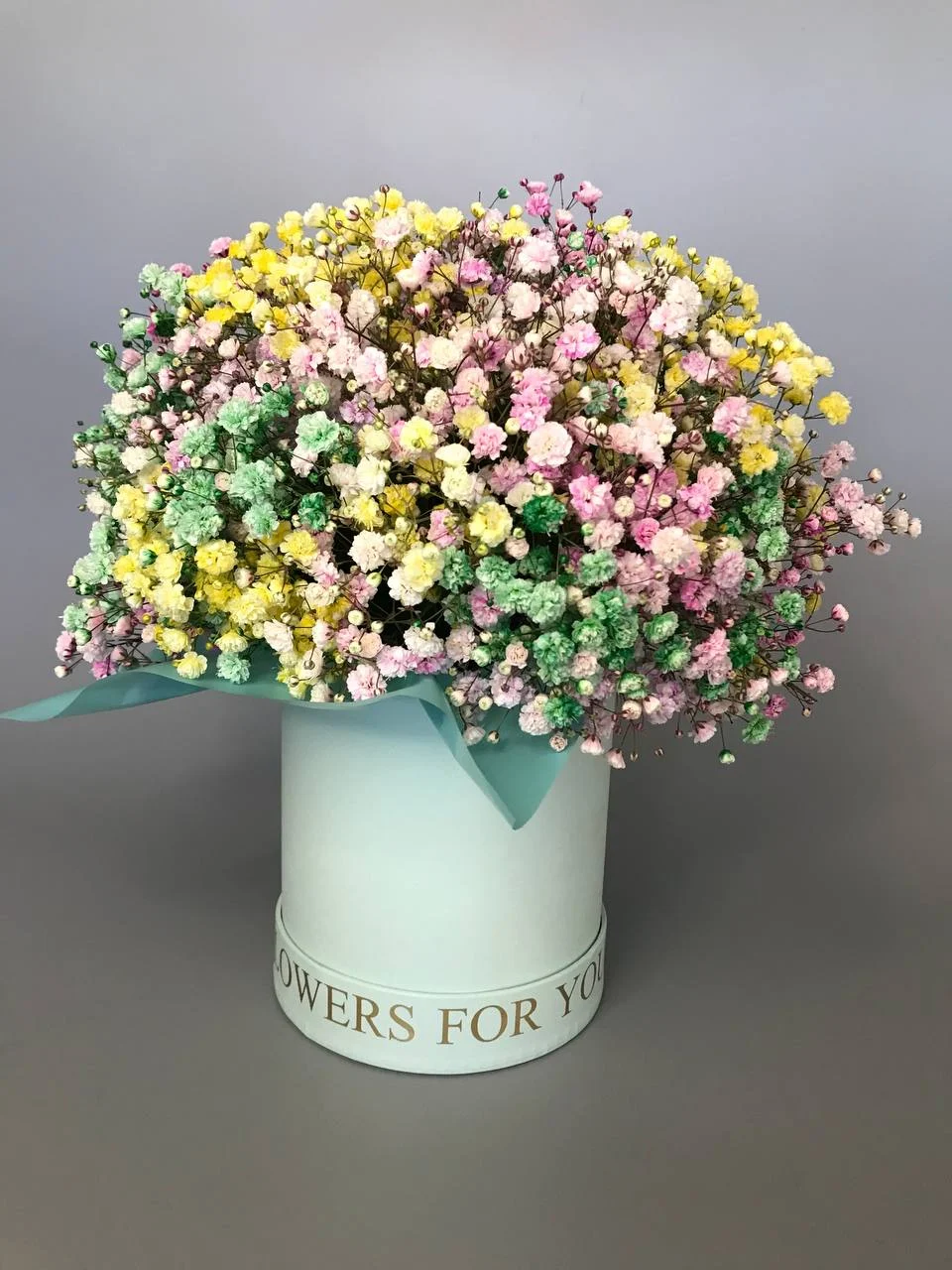 Kolorowa gipsówka flower box z dostawą niska cena Grodzisk Mazowiecki