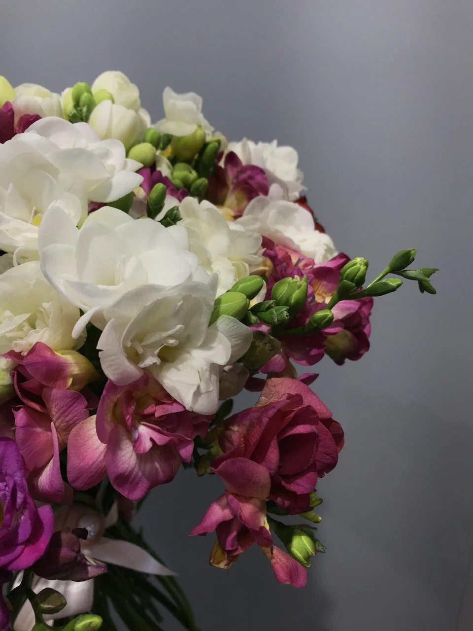 Bukiet frezji z dostawą niska cena Pruszków