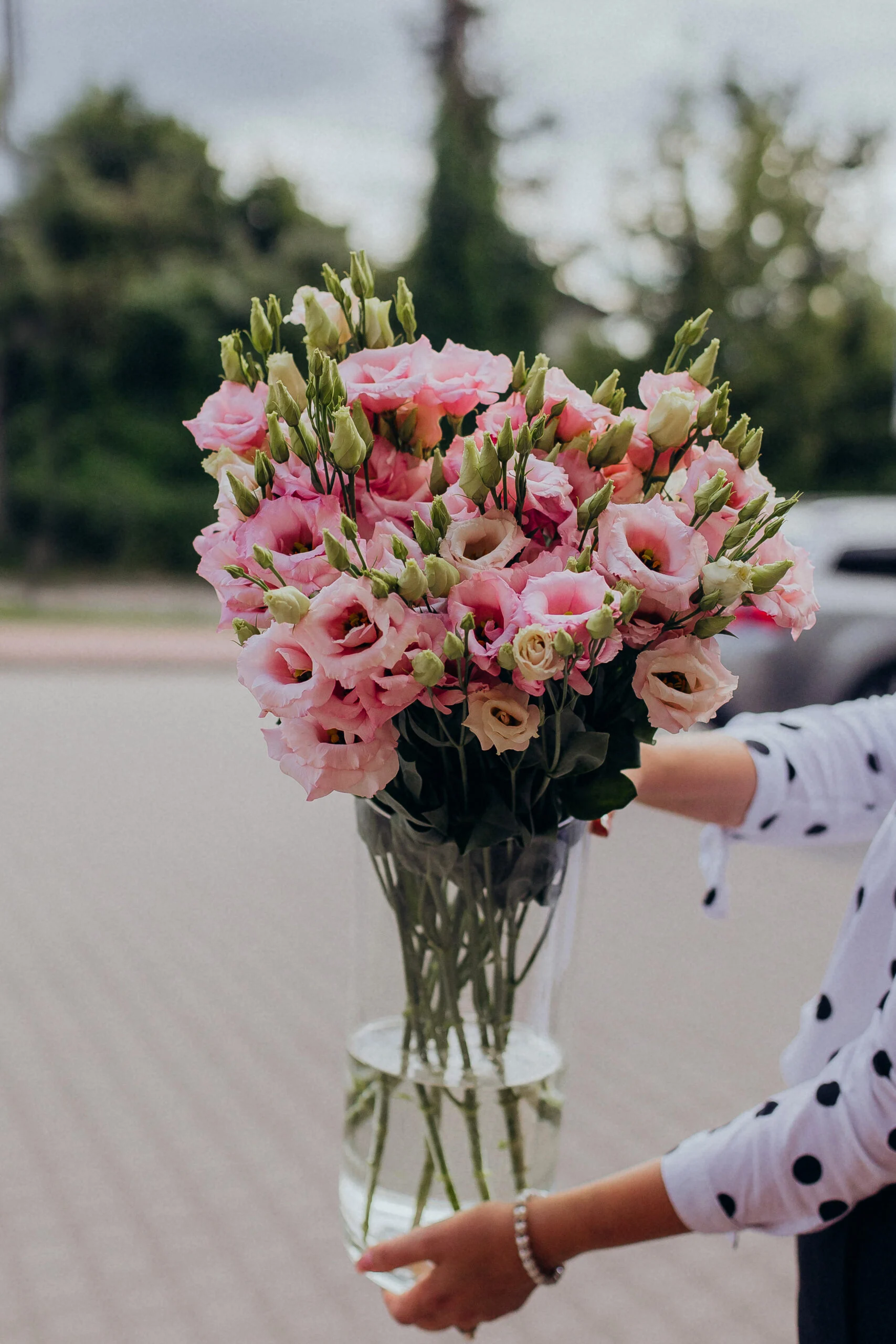 Eustoma cięta – Dostawa w Polsce.