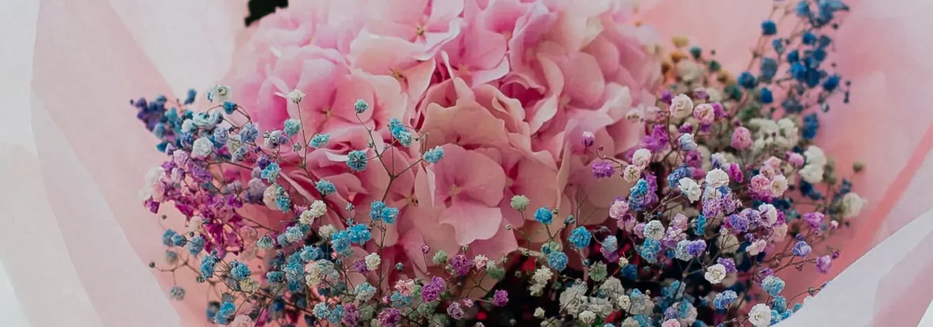 Bukiet z kolorowej gipsówki Warszawa