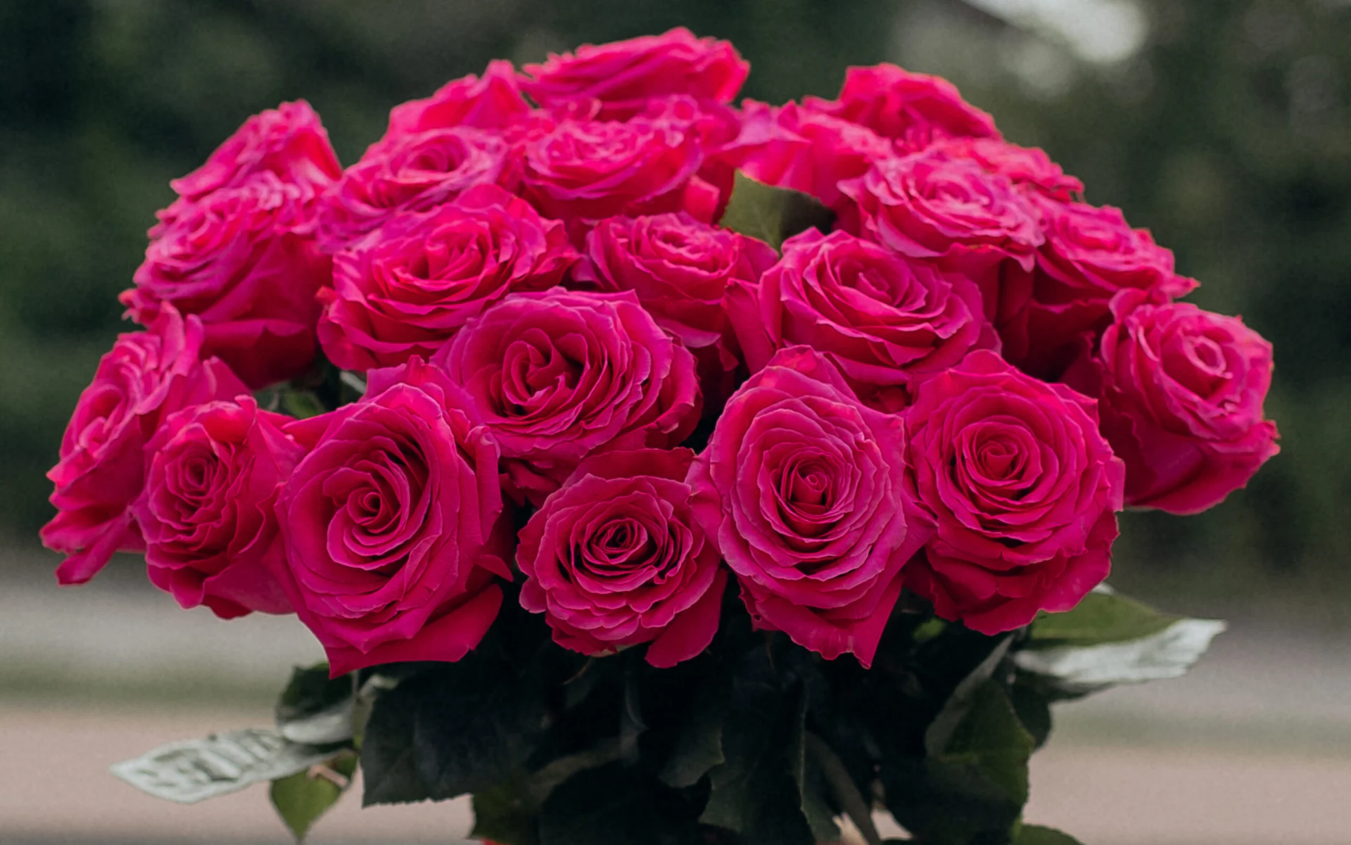 Bukiet wspaniałych różowych róż