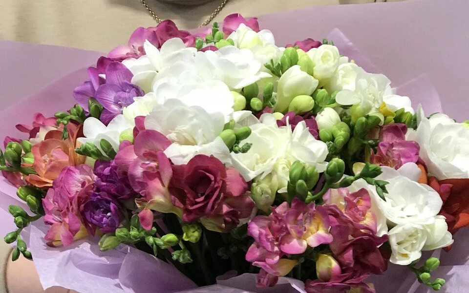 Bukiet frezji z dostawą niska cena