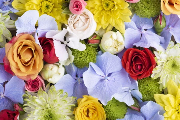 Symbolika Kolorów Kwiatów – Co Oznaczają Różne Kolory?