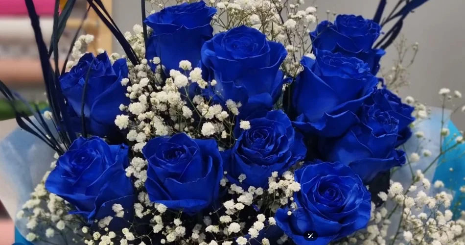 Bukiet z niebieskich róż i gipsówki