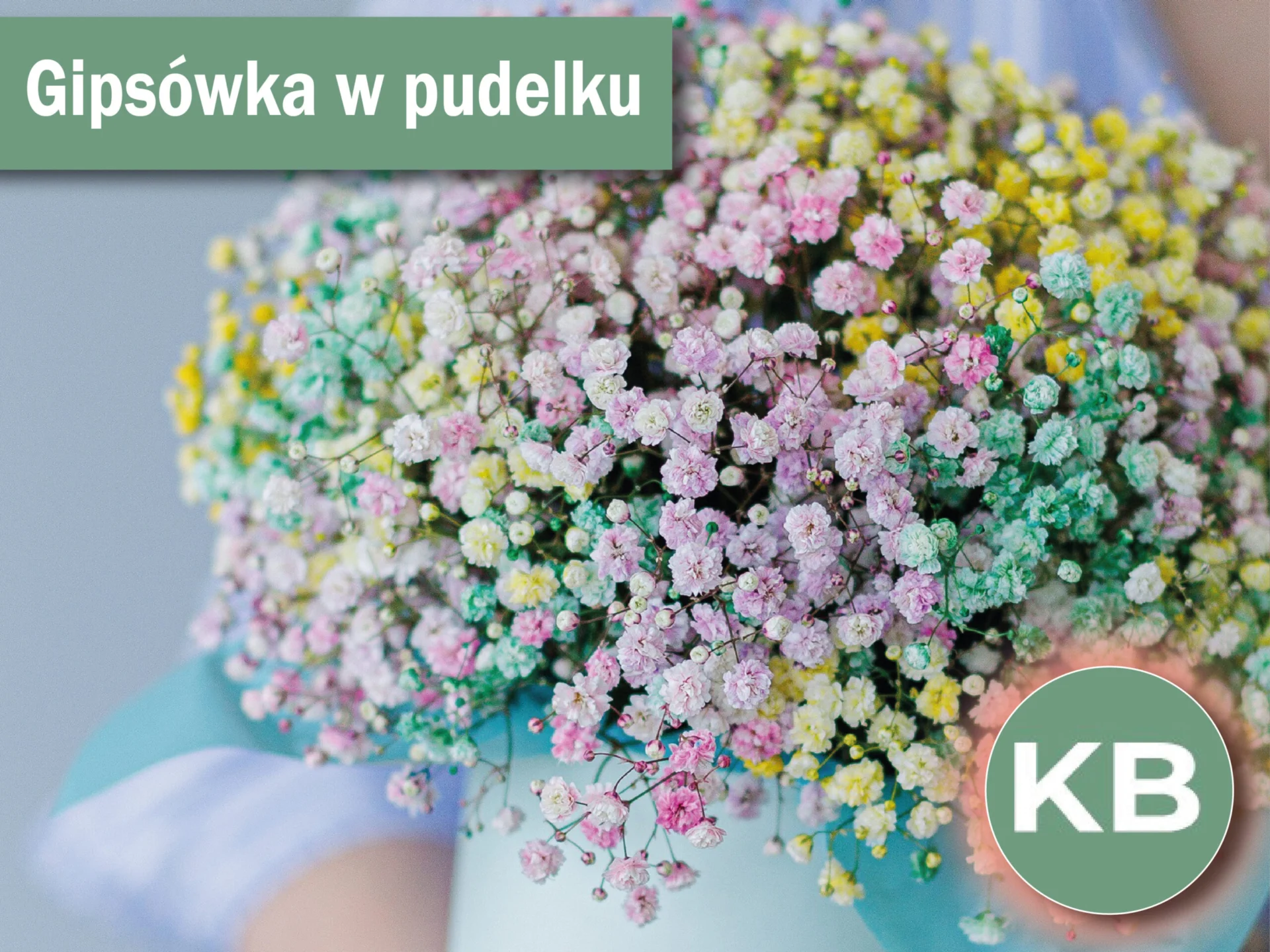 Delikatny, zwiewny bukiet z gipsówki.