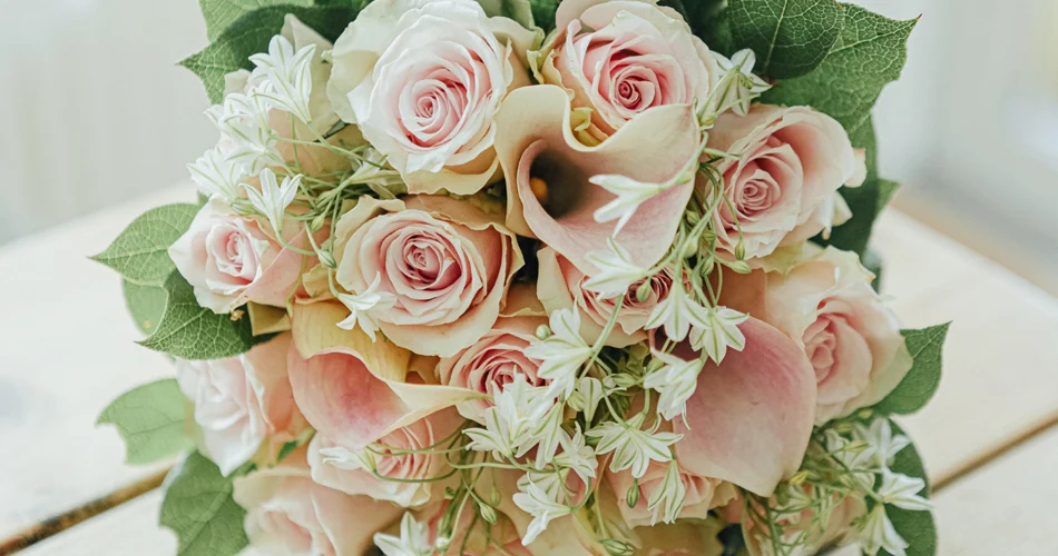 Kwiaty do sypialni – przegląd gatunków