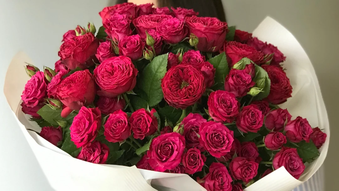 Bukiet róż piwoniowych w bogatym czerwonym odcieniu