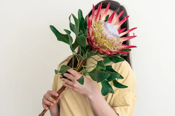 Jednym z najbardziej niezwykłych i trwałych egzotycznych kwiatów jest protea.