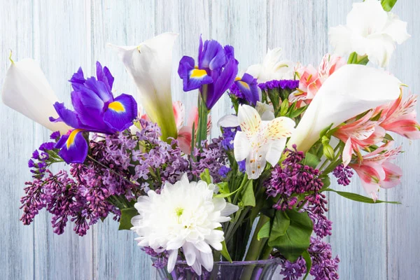 Sezonowe kwiaty – kiedy i co kupować?