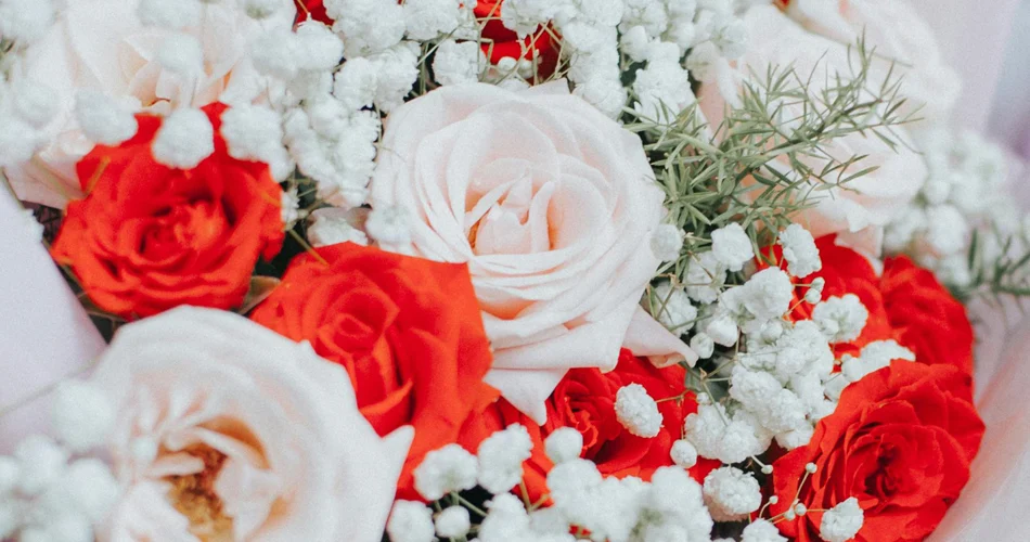 Znaczenie koloru róż: jak wybierać róże na różne okazje i co symbolizują ich kolory