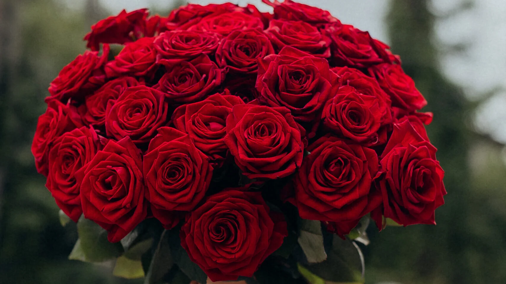 30 czerwonych róż poczta i dostawa kwiatowa