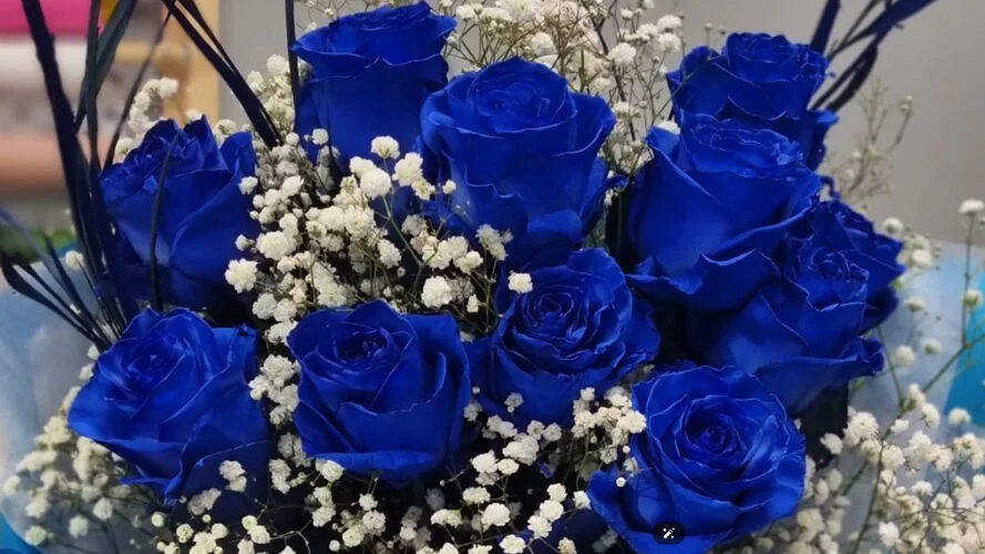 niebieskie róże z gipsowka
