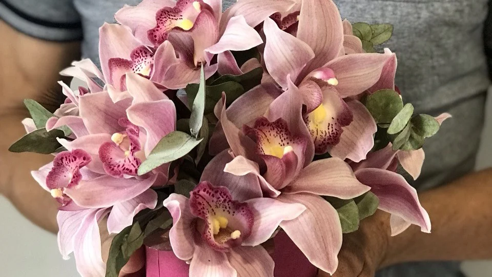 Najpiękniejsze kwiaty tropikalne – przewodnik po egzotycznych roślinach