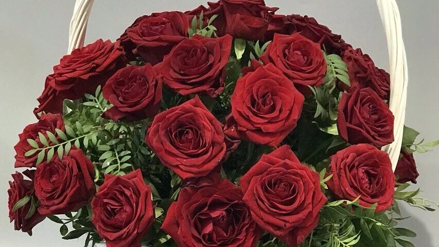 czerwone róże w białym koszu