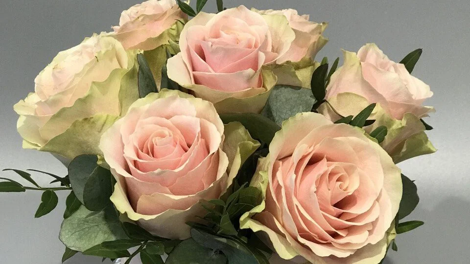 flower-box z różami