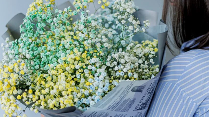 Bukiet kolorowej gipsówki