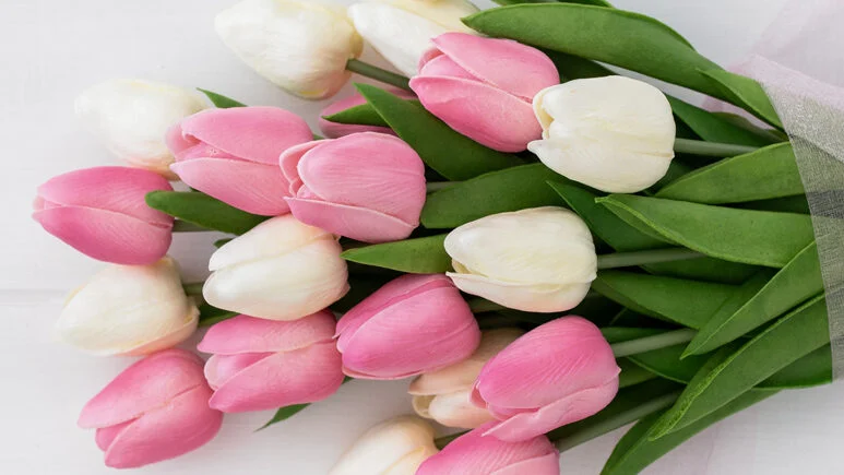 Wiosenne kwiaty. Jak wybrać i jak o nie dbać?