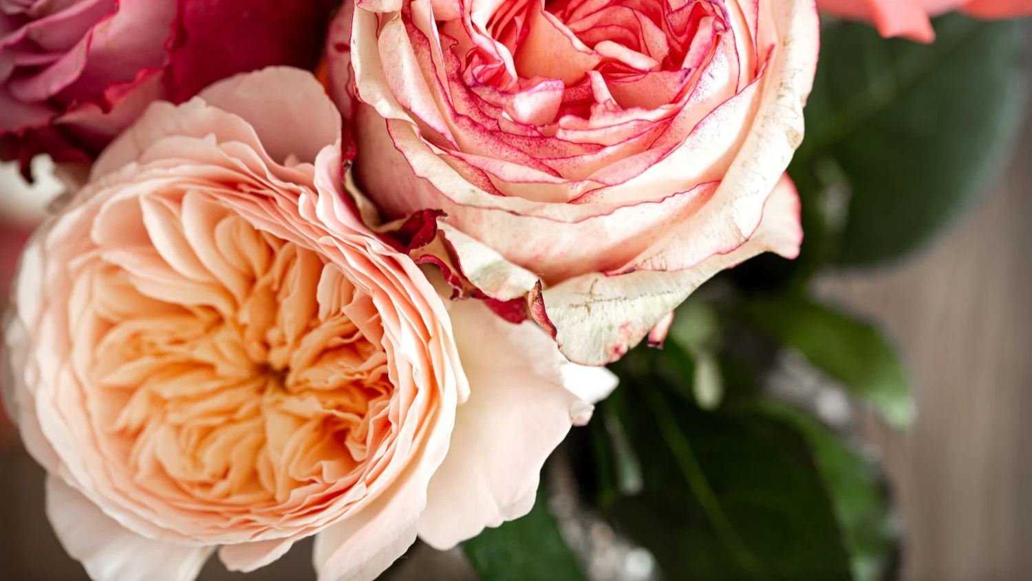 Rzadkie odmiany róż: opis i cechy niezwykłych gatunków