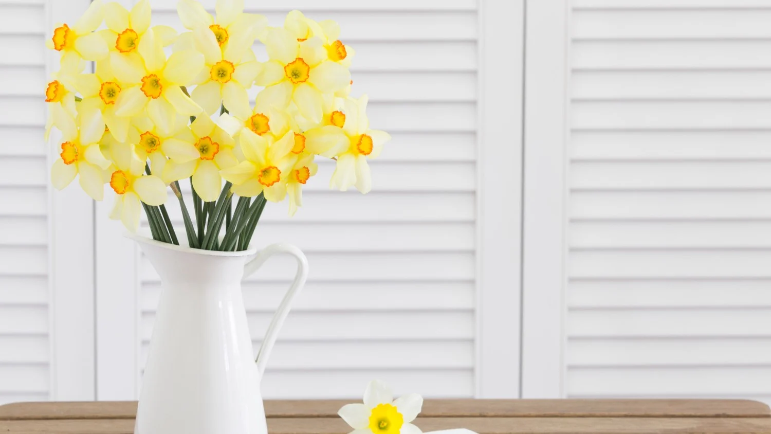 Bukiet narcyzów w wazonie.