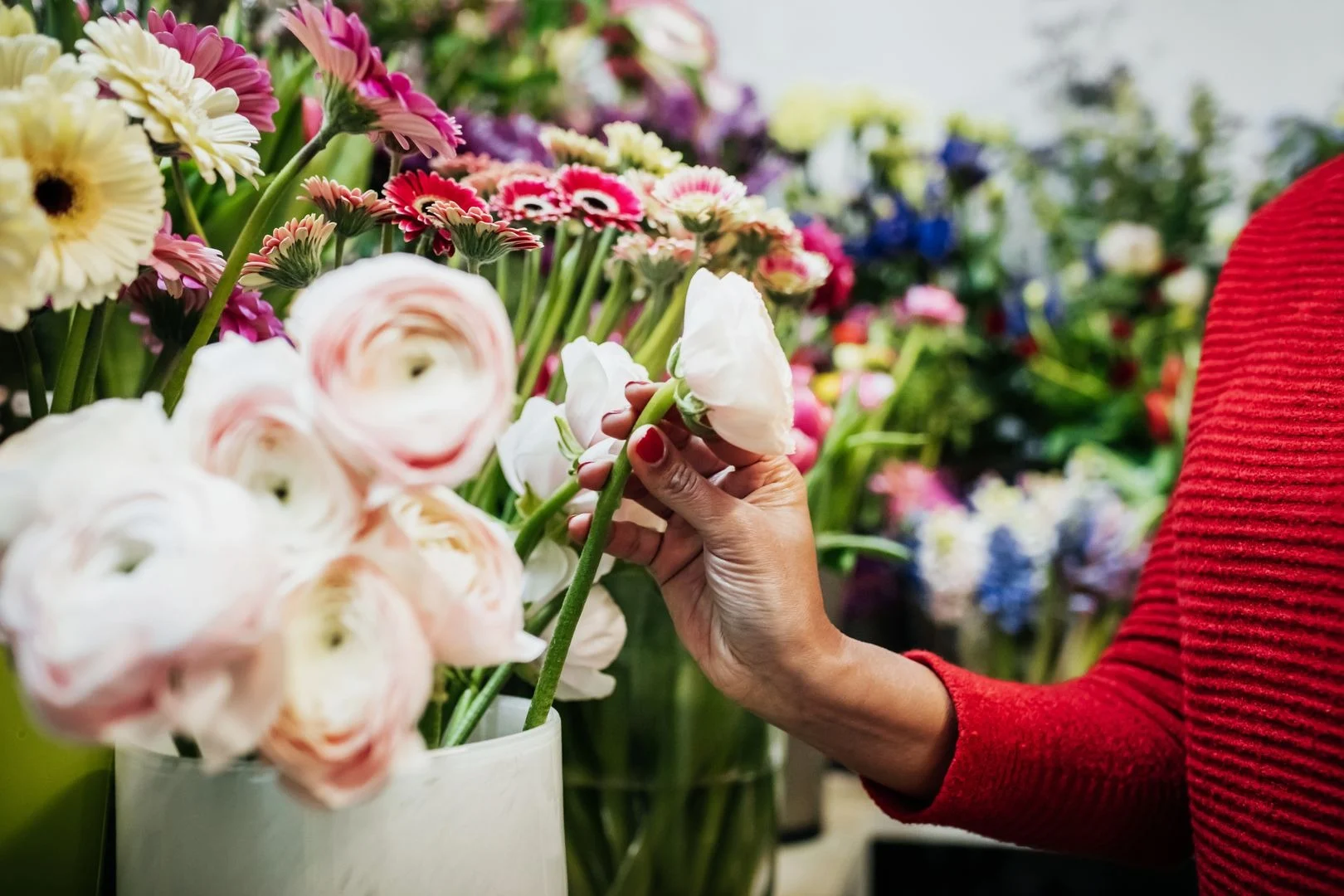 Wybór kwiatów w kwiaciarni