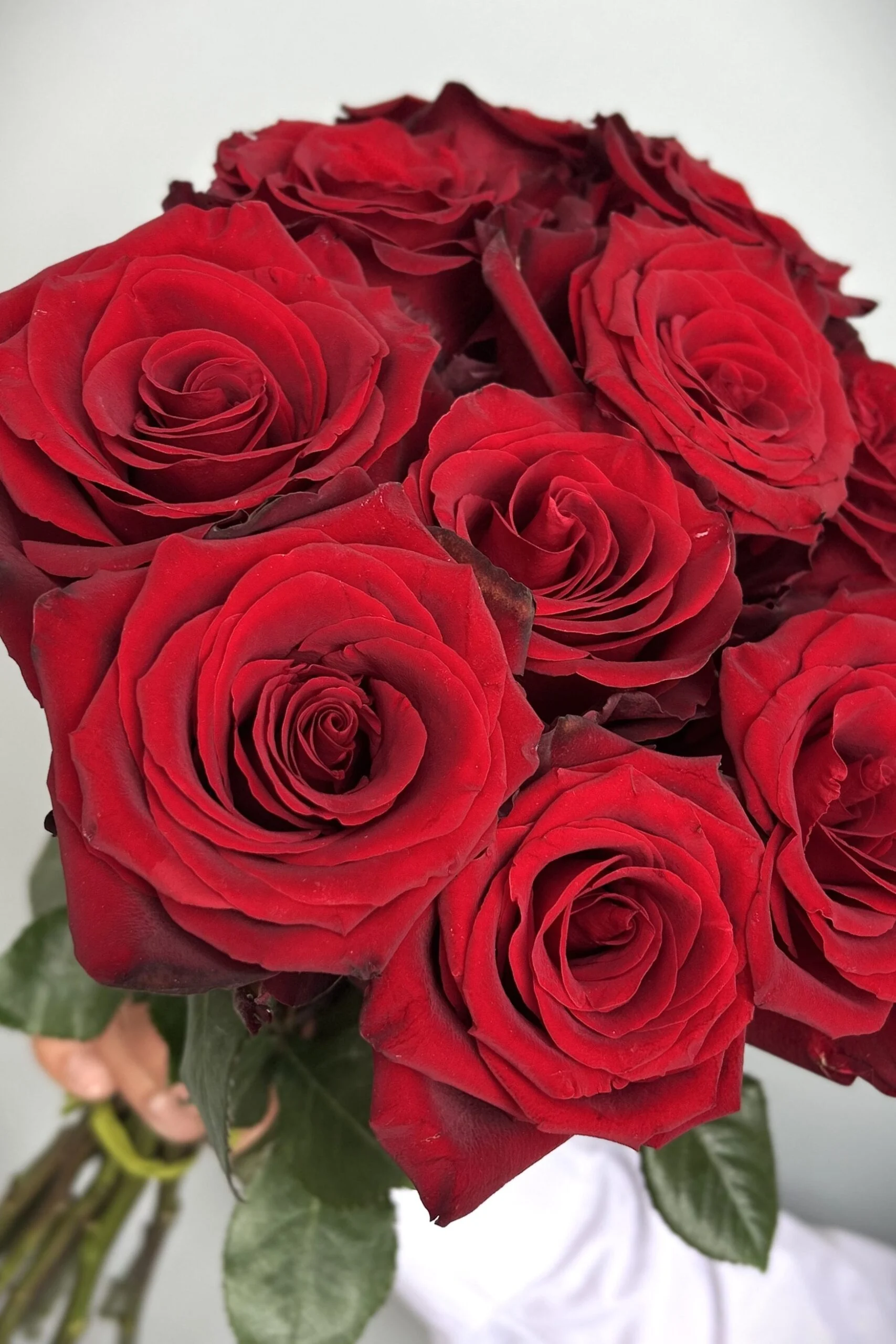 Luksusowy bukiet róż z długimi łodygami