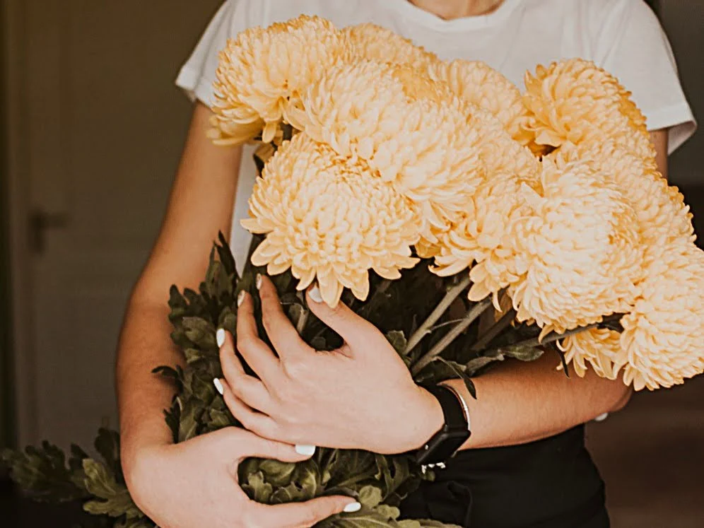Osoba trzymająca w ramionach bukiet jasnych chryzantem – jesienne kwiaty cięte