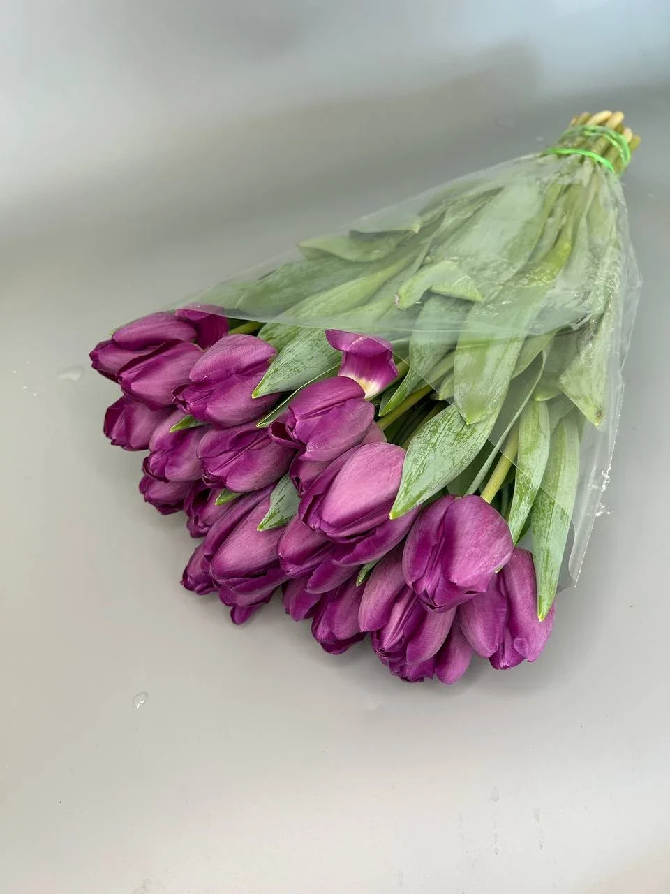 Fioletowe tulipany - 25 szt