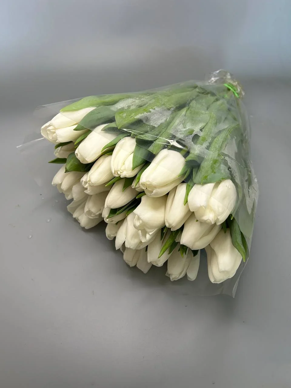 Tulipany białe 25 sztuk