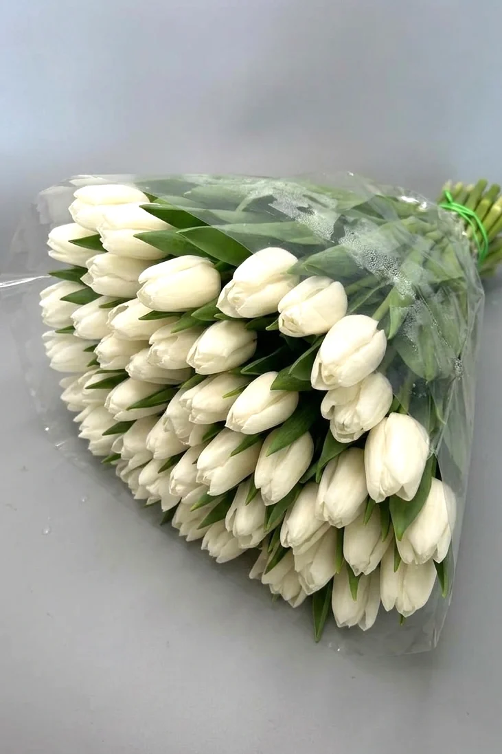 Tulipany białe - 50 szt